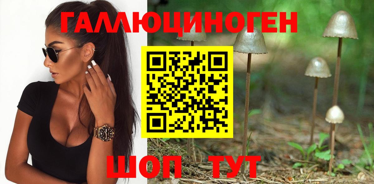 Галлюциногенные грибы Magic Shrooms  Галлюциногенные грибы ЛСД  Губаха  Вход с VPN 