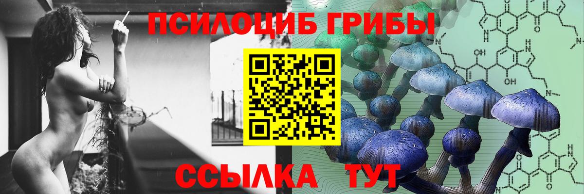 Псилоцибиновые грибы Psilocybine cubensis Губаха